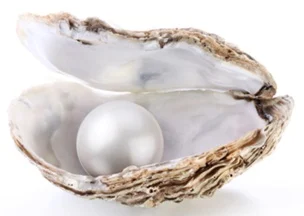 Best Moti Pearl Gemstone Shop in Pune – Natural pearls in oyster shell, authentic and certified for astrology and jewellery use.