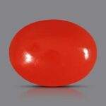 A smooth, oval-shaped red gemstone with a glossy surface, set against a solid gray background.