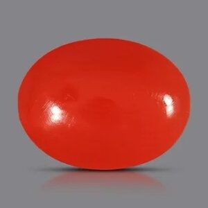 A smooth, oval-shaped red gemstone with a glossy surface, set against a solid gray background.