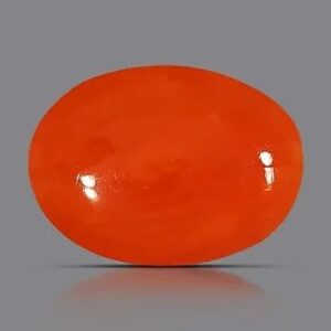 A smooth, oval-shaped red gemstone with a glossy surface, set against a solid gray background.