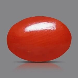 A smooth, oval-shaped red gemstone with a glossy surface, set against a solid gray background.