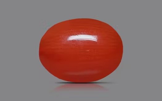 A smooth, oval-shaped red gemstone with a glossy surface, set against a solid gray background.