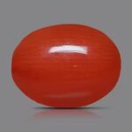 A smooth, oval-shaped red gemstone with a glossy surface, set against a solid gray background.