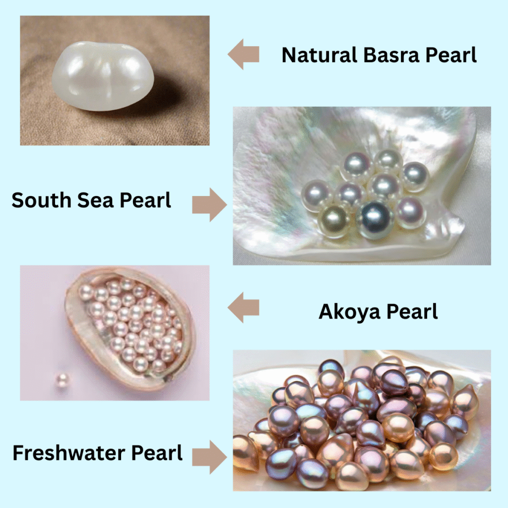 Pearl types including Natural Basra, South Sea, Akoya, and Freshwater pearls at Shree Ganesh Gems & Jewellery