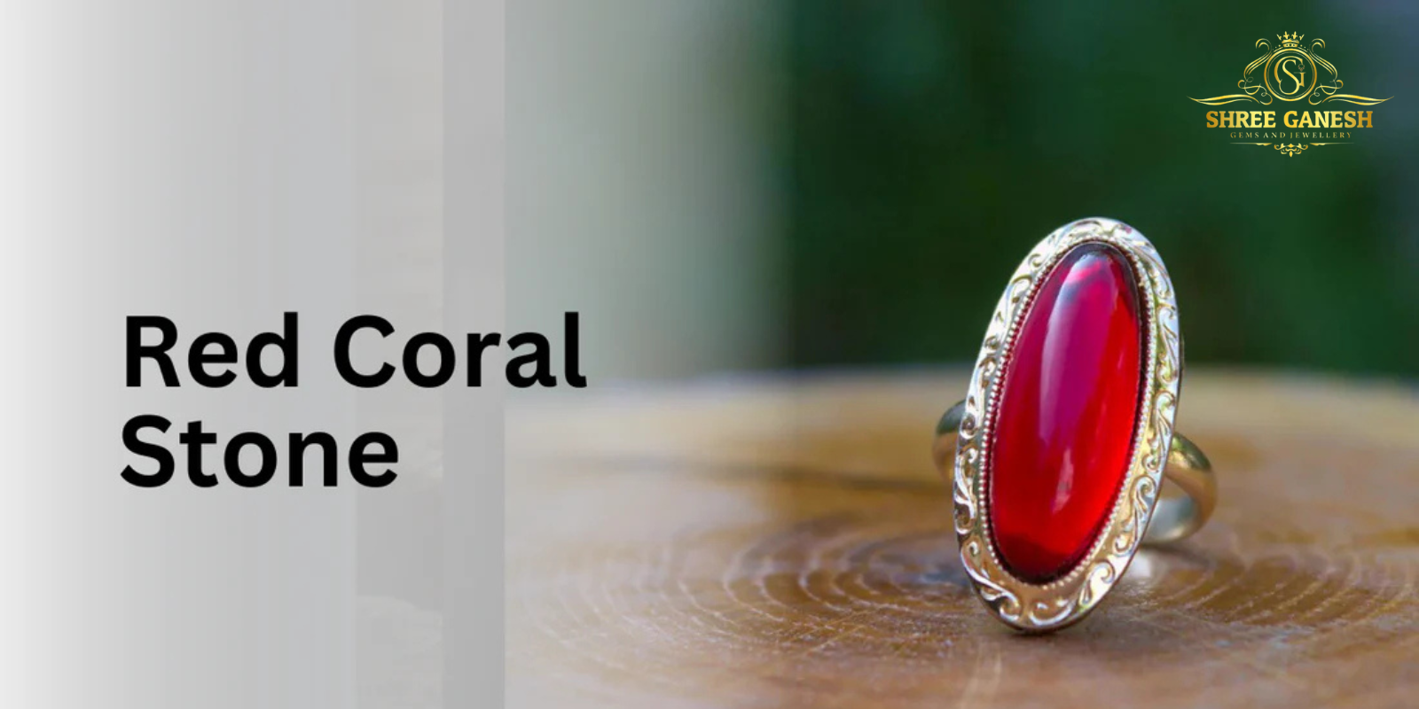 Red Coral Gemstone ring in gold setting – natural Moonga gemstone for courage, energy, and astrological benefits.